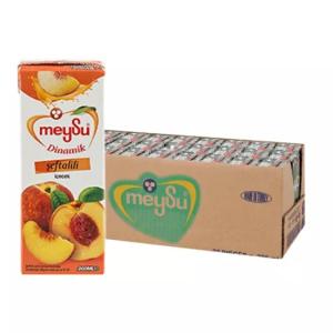 1/5 DİNAMİK ŞEFTALİ 272Lİ